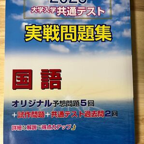 駿台 実践問題集国語 2025