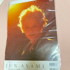 2025 宝塚 雪組 宝塚パーソナルカレンダー 朝美絢