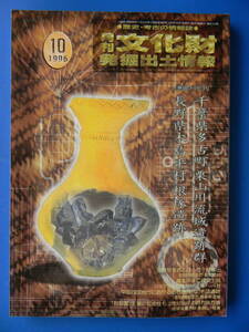 月刊文化財発掘出土情報　1996年10月号　栗山川流域遺跡群、根塚遺跡、妹尾兼康、土岐市ペトログラフ、正倉院黒作大刀、古墳時代の始まり？