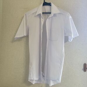 学生服 半袖シャツ 白 無地 開襟シャツ