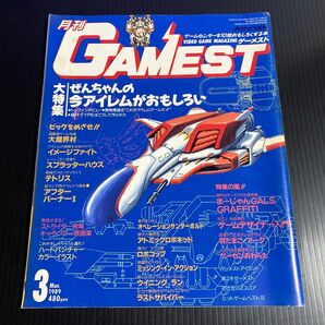 月刊ゲーメスト 1989年3月号 R-TYPE 大魔界村 テトリス アフターバーナーII