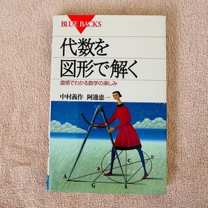 代数を図形で解く 直感でわかる数学の楽しみ (ブルーバックス B-1289) 中村義作/著 阿辺恵一/著