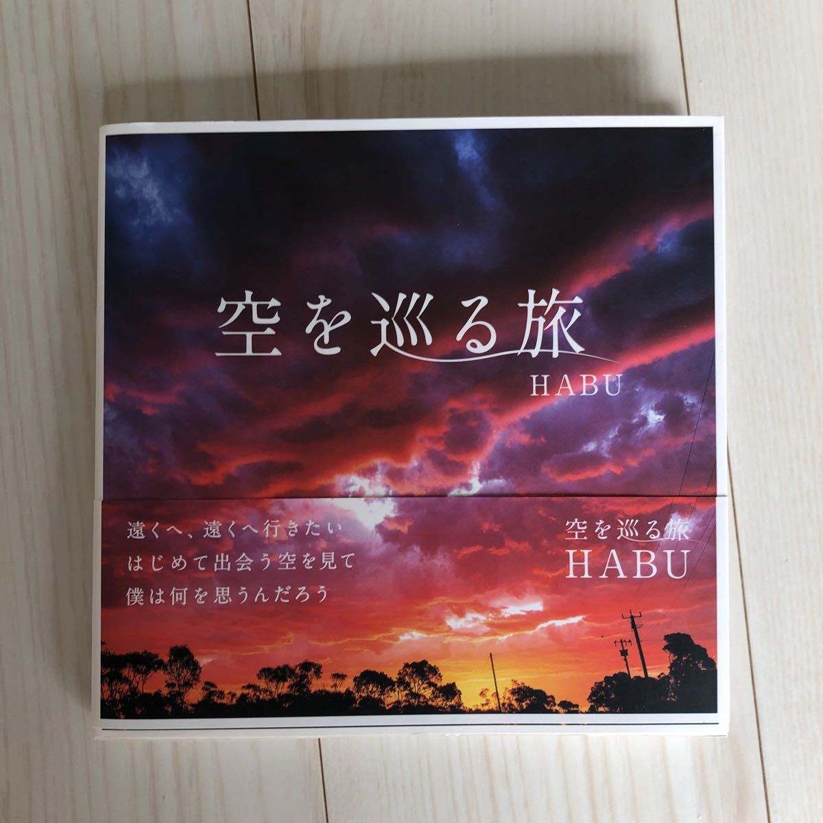 超人気の 希少 1992年荒木経惟 展覧会ポスター otdelobrazov