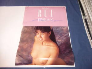 ◆60/(322) 桜樹ルイ　１９９３年　カレンダー　RUI　ヌード