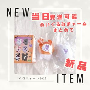 新品 当日発送可ぬいぐるみチャーム ディズニー シークレット 白