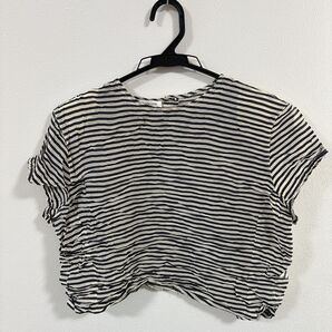 JONES NEW YORK PETITE クロップド丈 シアー素材 14p半袖