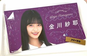 乃木坂46 公式　グッズ　金川紗耶　フォトアルバム　生写真入れ　( choose 福袋 生写真