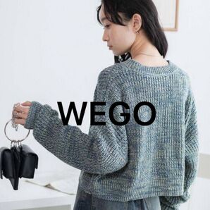 価格相談OK WEGO ニット セーター ブルー系