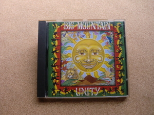 ＊BIG MOUNTAIN／UNITY（74321 21964 2）（輸入盤）