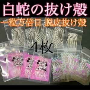 白蛇の抜け殻☆巳年生まれが育てるヘビのお守り☆運気上昇【一粒万倍日脱皮抜け殻】