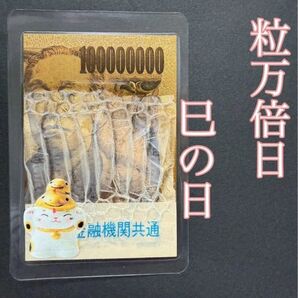 白蛇の抜け殻☆巳年生まれが育てる蛇のお守り☆【一粒万倍日・巳の日】5