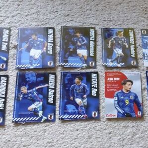 カルビー サッカー日本代表 カード