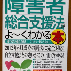 障害者総合支援法