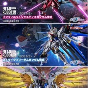 【未開封】 METAL ROBOT魂 ストライクフリーダム弐式 プラウドディフェンダー インフィニットジャスティス弐式