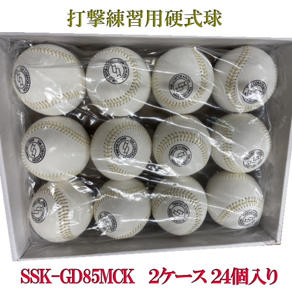 SSK. 硬式野球ボール(10ダース)120球 その他 | endageism.com