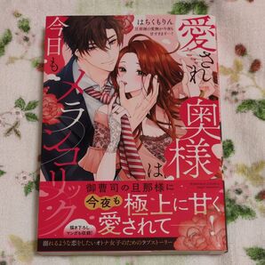 愛され奥様は今日もメランコリック 旦那様 (ぶんか社コミックス Sgirl Sele) はちくもりん