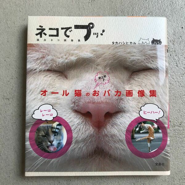 ネコでプッ！ 面白ネコ画像集 /宝島社/タカハシヒカル (単行本) 中古