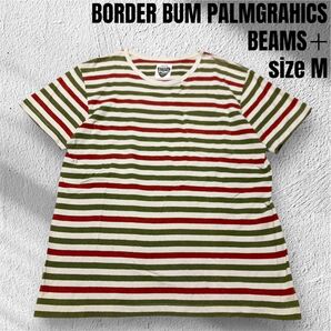 BEAMS PLUS ビームスプラス マルチカラーボーダー パネル切替 Tシャツ 綿 麻 カットソー 半袖 PALMGRAHICS