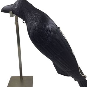 カラスよけ カラス対策 撃退グッズ 害鳥対策 リアル置物 ダミーカラス 駆除 撃退