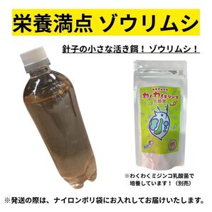 【GMめだか】栄養満点 ゾウリムシ 種水 ※ たまやのわくわくミジンコ乳酸菌 で培養 メダカ 金魚 グッピー インフゾリア