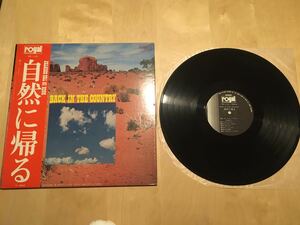 【帯付LP】シティライツ / 自然に帰る(RS1123) / CITY LIGHTS / 石田新太郎 / エディ村田 / 藤田晴夫 / SAVAGE / ROYAL Records