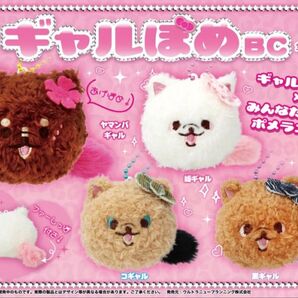 ギャルぽめ BC ボールチェーン 全4種セット マスコット キーホルダー 犬 dog ポメラニアン 犬種 愛犬 ギャル