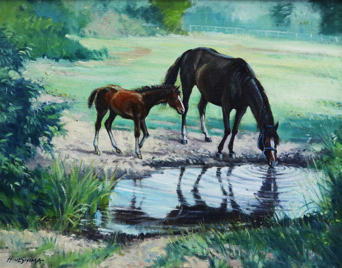 正規逆輸入品】 猫と海岸 自作絵画 油彩画 F20 爆売り! - poumonquebec.ca