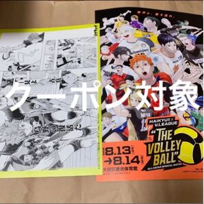 ハイキュー リミックス 2巻 アニメイト 特典 名シーンカード 原作 イラストカード 日向 影山 西谷 及川 Vリーグ チラシ