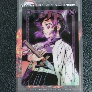 鬼滅の刃 柱稽古編 ワールドツアー WT ランダムカード 胡蝶しのぶ