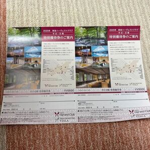 2枚 2025/12/26迄 東急ハーベストクラブ 特別優待券2枚セット