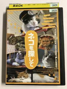 【DVD】ネコを探して / ミリアム・トネロット【レンタル落ち】@WA-08