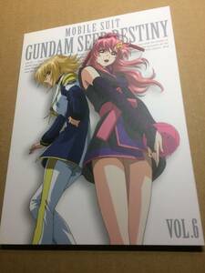 機動戦士ガンダムSEED DESTINY DVD・ブルーレイ収納ケース カガリ・ユラ・アスハ ラクス・クライン VOL.6 平井久司 非売品 特典