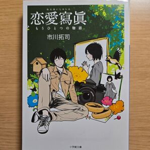 恋愛寫眞 もうひとつの物語 市川拓司 小学館文庫
