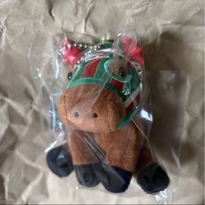 ナイスネイチャ アイドルホース Sサイズ 有馬記念 JRA ウマ娘