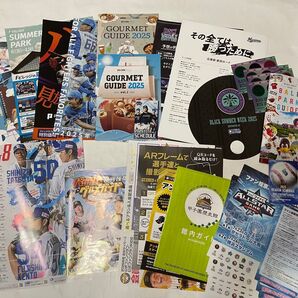 野球場 フリーペーパー