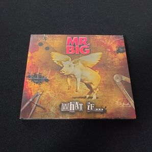 MR.BIG WHAT IF...