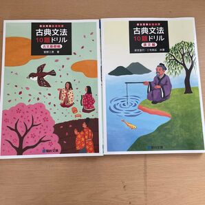 駿台 古典文法 漢文、古文基礎