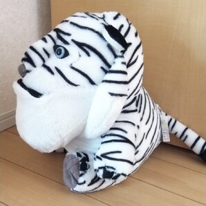 シャクレルプラネット