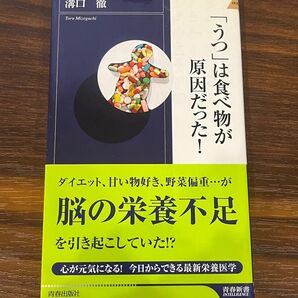 「うつ」は食べ物が原因だった! (青春新書INTELLIGENCE PI-238) 溝口徹/著