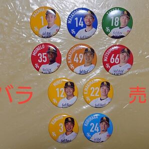 福岡ソフトバンクホークス 缶バッジ バラ売り