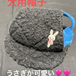 犬用帽子 うさぎ