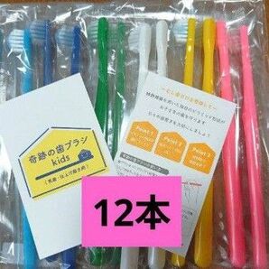 【正規品】奇跡の歯ブラシ バージョンアップ品 子供用歯ブラシ 衛生用品 衛生用品 歯科専売 12本☆ta6jw