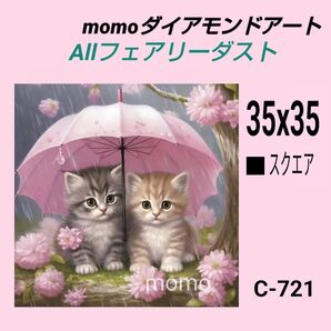 【C-721FD】ダイアモンドアート ダイヤモンドキット ダイアモンド刺繍