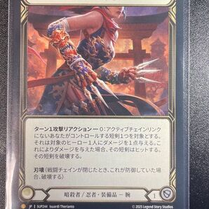 FLESH AND BLOOD 短刀の妙技 NF