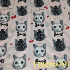 猫柄生地 オックス 110cm×1m ピンク ストライプ チェリー 新品未使用