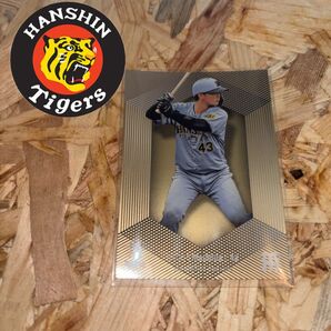 阪神タイガース 町田隼乙 シリアル カード