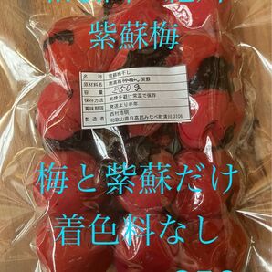 和歌山 紀州 紫蘇梅 南高梅使用 農家直送 着色料 保存料なし 昔ながらの紫蘇梅 今月号のクロワッサンに掲載中