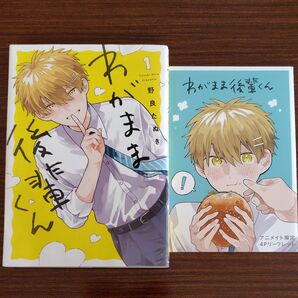 わがまま後輩くん アニメイト限定4Pリーフレット付き