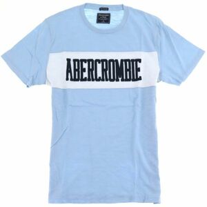 新品 【メール便送料250円】新品本物 アバクロ Abercrombie & Fitch ビンテージ加工 スラブ生地 アップリケロゴ Tシャツ 317 白水色 / XS