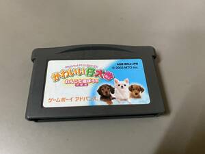 GBA かわいい仔犬 わんこと遊ぼう 小型犬 端子清掃・動作確認済 ネコポス 対応商品 同梱可能 送料￥400 簡易梱包 中古[D-416]